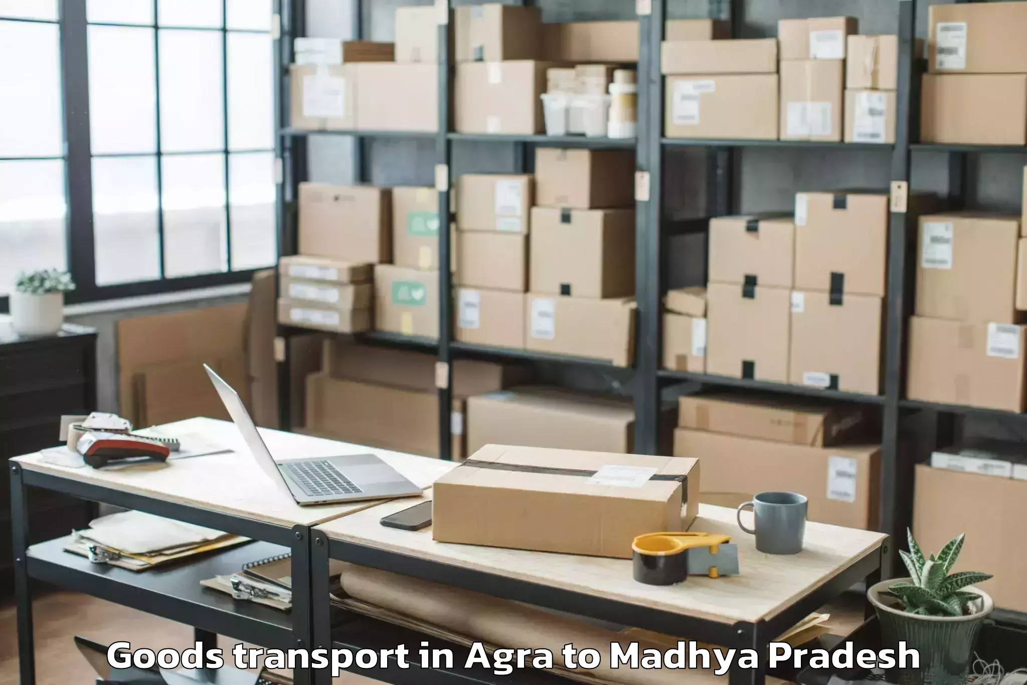 Top Agra to Dhamnod Goods Transport Available